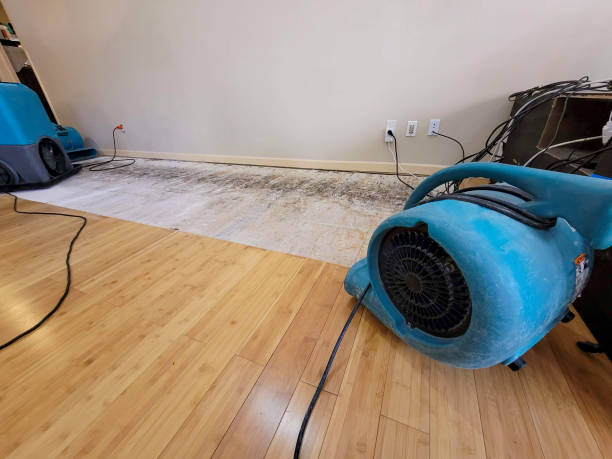 Professional Emergency Water Damage technician working in Grandview, MO